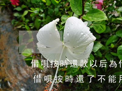 借唄按時還款以后為什么不開通了-為什么借唄按時還了不能用了