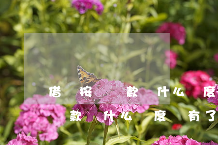 借唄按時還款為什么額度沒有了-借唄按時還款為什么額度沒有了呢