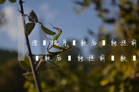 借唄按月還款后還能提前還款嗎-借唄按月還款后還能提前還款嗎
