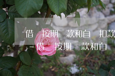 借唄按期還款和自動扣款有區(qū)別嗎-借唄按期還款和自動扣款有區(qū)別嗎怎么關(guān)閉