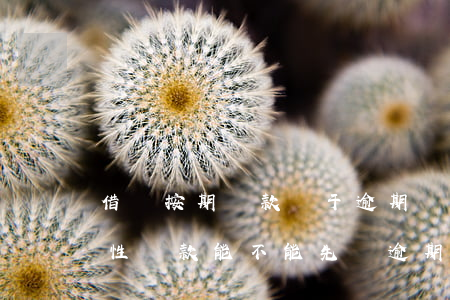 借唄按期還款屬于逾期嗎(借唄逾期要求一次性還款,能不能先還逾期的部分)