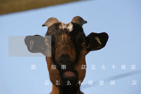 借唄按期還款怎么不能提前還款-借唄按期還款怎么不能提前還款了