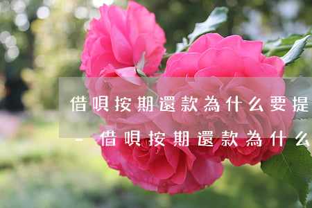 借唄按期還款為什么要提前結(jié)清-借唄按期還款為什么要提前結(jié)清呢