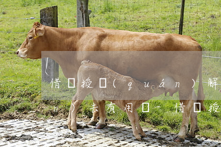 借唄授權(quán)解除了還款進(jìn)去有用嗎-借唄授權(quán)解除了還款進(jìn)去有用嗎安全嗎