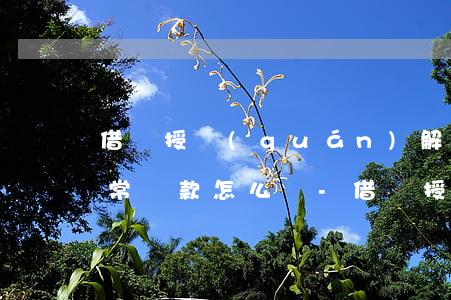 借唄授權(quán)解除無(wú)法正常還款怎么辦-借唄授權(quán)解除無(wú)法正常還款怎么辦呢