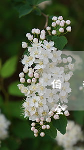 借唄提前全額還款怎么還要利息-借唄提前全額還款怎么還要利息呢