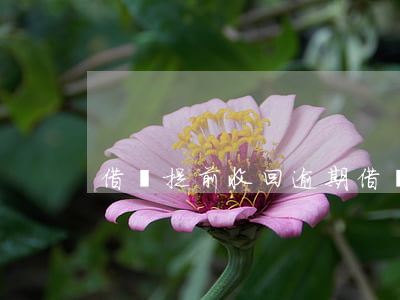 借唄提前收回 逾期(借唄提前收回 逾期怎么辦)