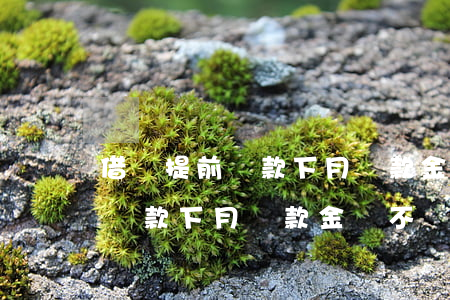 借唄提前還款下月還款金額不減-借唄提前還款下月還款金額不減怎么回事
