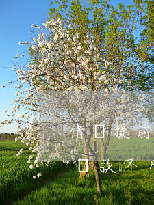 借唄提前還款不用要交違約金嗎-借唄提前還款不用要交違約金嗎怎么辦