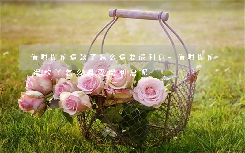 借唄提前還款了怎么還要還利息-借唄提前還款了怎么還要還利息呢