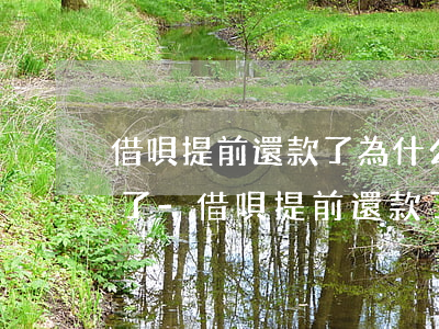 借唄提前還款了為什么沒(méi)有額度了-借唄提前還款了為什么沒(méi)有額度了呢