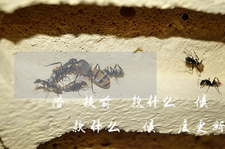 借唄提前還款什么時候額度更新-借唄提前還款什么時候額度更新啊