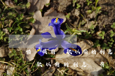 借唄提前還款以前的利息還有嗎-借唄提前還款以前的利息還有嗎怎么算