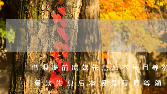 借唄提前還款先息后本每月等額-借唄提前還款先息后本還是每月等額