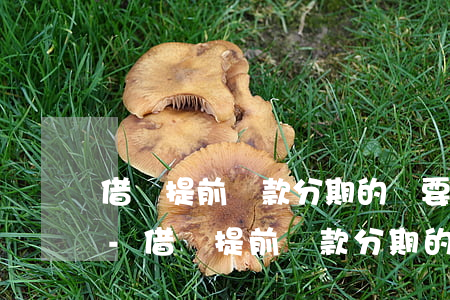 借唄提前還款分期的還要手續(xù)費嗎-借唄提前還款分期的還要手續(xù)費嗎安全嗎