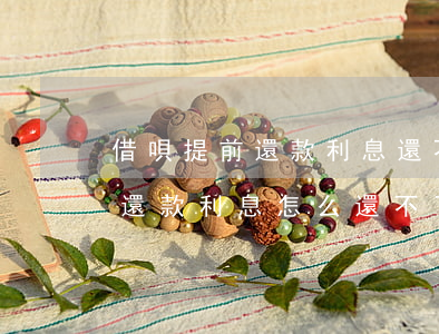 借唄提前還款利息還不上怎么辦-借唄提前還款利息怎么還不了