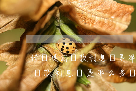 借唄提前還款利息還是那么多嗎-借唄提前還款利息還是那么多嗎怎么辦