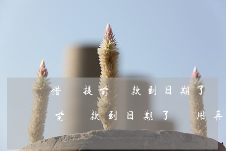 借唄提前還款到日期了還用再還嗎-借唄提前還款到日期了還用再還嗎
