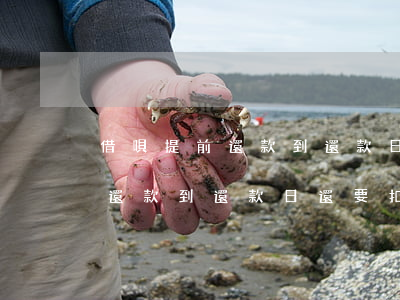 借唄提前還款到還款日還要扣嗎-借唄提前還款到還款日還要扣嗎多少錢