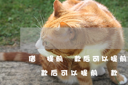 借唄提前還款后可以提前還款嗎-借唄提前還款后可以提前還款嗎