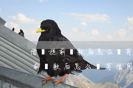 借唄提前還款后怎么沒有信用額度-借唄提前還款后怎么沒有信用額度了