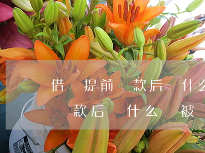 借唄提前還款后為什么會被關閉-借唄提前還款后為什么會被關閉呢