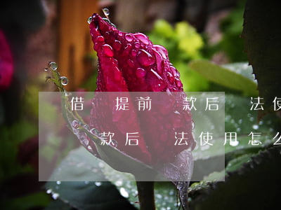 借唄提前還款后無法使用怎么辦-借唄提前還款后無法使用怎么辦理