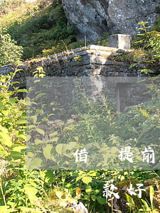 借唄提前還款好還是正常還款好-借唄提前還款好還是正常還款好呢