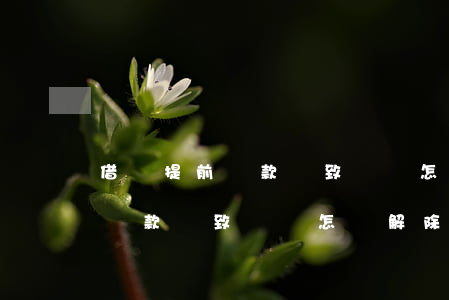 借唄提前還款導致關閉怎樣解除-借唄提前還款導致關閉怎樣解除呢