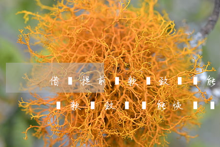 借唄提前還款導致關閉能恢復嗎-借唄提前還款導致關閉能恢復嗎安全嗎