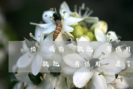 借唄提前還款就沒有信用額度了-借唄提前還款就沒有信用額度了怎么回事