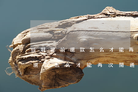 借唄提前還款怎么才能再次開通-借唄提前還款怎么才能再次開通呢