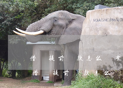 借唄提前還款怎么沒有恢復(fù)額度-借唄提前還款怎么沒有恢復(fù)額度了