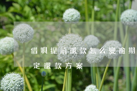 借唄提前還款怎么變逾期(借唄逾期上重新制定還款方案)