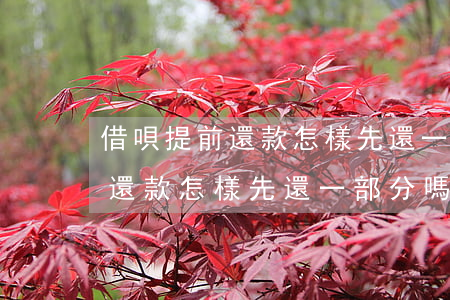 借唄提前還款怎樣先還一部分嗎-借唄提前還款怎樣先還一部分嗎安全嗎