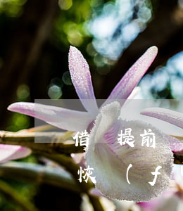 借唄提前還款會(huì)及時(shí)恢復(fù)額度嗎-借唄提前還款會(huì)及時(shí)恢復(fù)額度嗎知乎