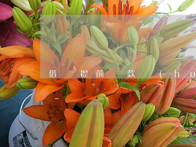 借唄提前還款會(huì)收到短信通知嗎-