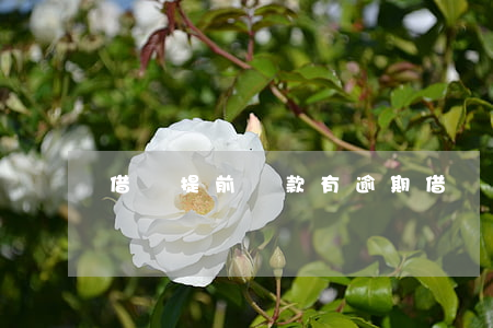 借唄提前還款有逾期 借唄提前還款有逾期影響嗎