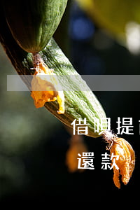 借唄提前還款沒額度了多久會有-借唄提前還款沒額度了多久會有額度