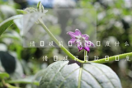 借唄提前還款沒額度什么時候恢復(fù)-借唄提前還款沒額度什么時候恢復(fù)正常