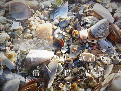 借唄提前還款清了當(dāng)天可以再借嗎-借唄提前還款清了當(dāng)天可以再借嗎