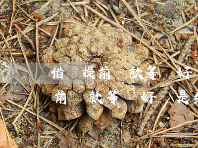 借唄提前還款等額好還是先利息好-借唄提前還款等額好還是先利息好呢