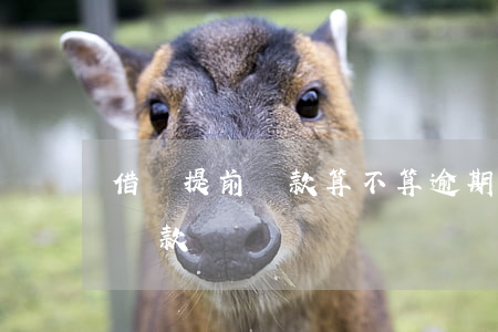 借唄提前還款算不算逾期(借唄是否可以提前還款)