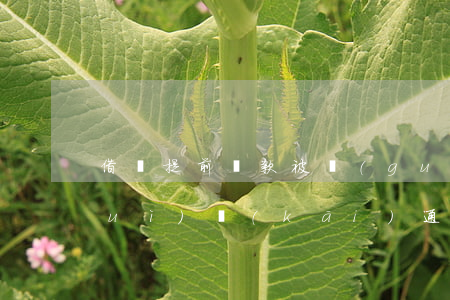 借唄提前還款被關(guān)了還會(huì)開(kāi)通嗎-借唄提前還款被關(guān)了還會(huì)開(kāi)通嗎安全嗎