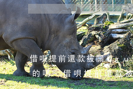 借唄提前還款被關(guān)有重新開通的嗎-借唄提前還款被關(guān)有重新開通的嗎安全嗎