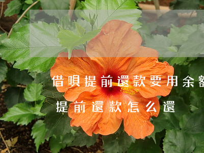 借唄提前還款要用余額寶怎么操作-借唄要提前還款怎么還
