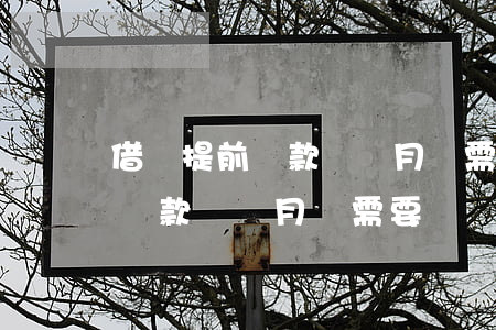 借唄提前還款這個月還需要還嗎-借唄提前還款這個月還需要還嗎