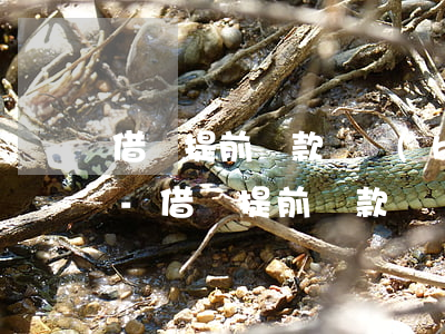 借唄提前還款還會(huì)有短信通知么-借唄提前還款還會(huì)有短信通知么嗎