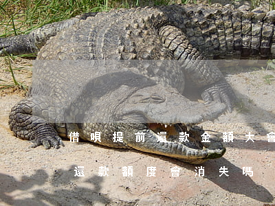 借唄提前還款金額大會提示什么-借唄提前還款額度會消失嗎
