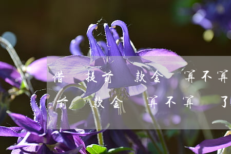 借唄提前還款金額算不算還了本期-借唄提前還款金額算不算還了本期利息